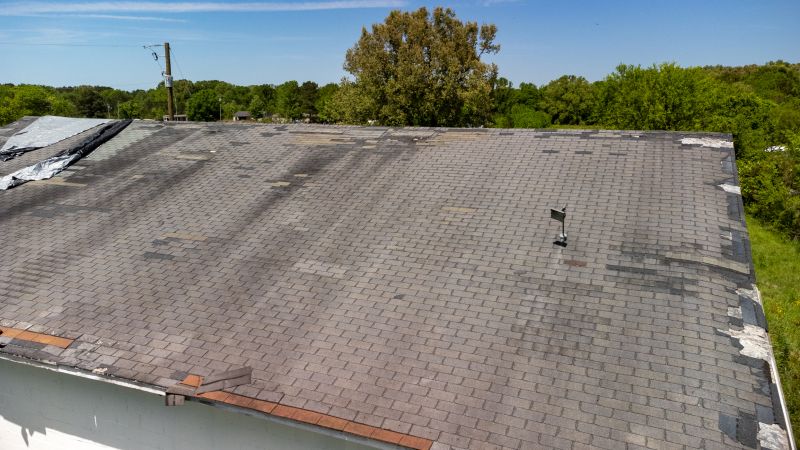 Causes Of Asphalt Shingle Damage And When Repair Is Enough